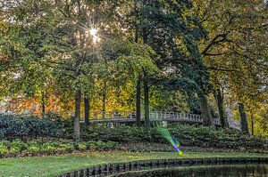 Lensflare, Museumpark, Rotterdam von Frans Blok