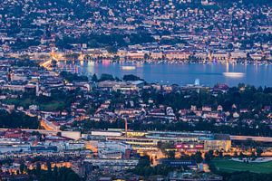Zürich en het meer van Zürich in Zwitserland van Werner Dieterich