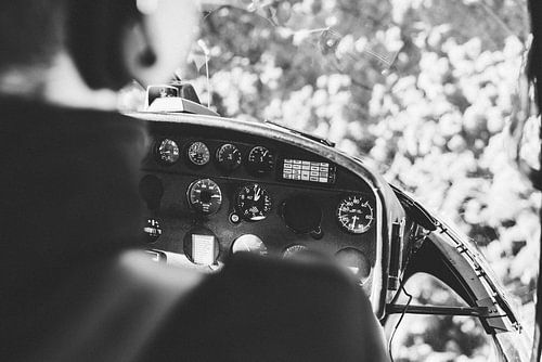 Fox Glacier: Het Levende IJs van Nieuw-Zeeland