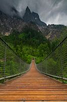 Suspension bridge