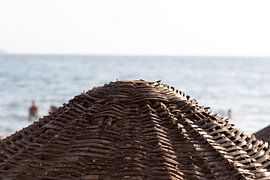 Parasol op het strand van de-nue-pic