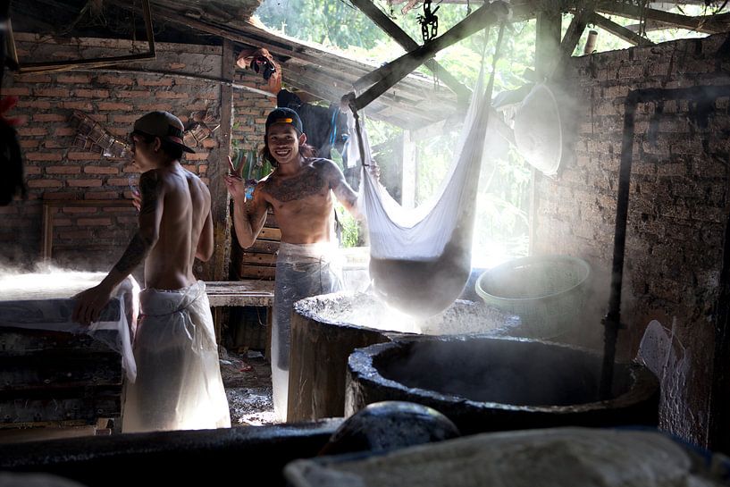 Créer tempeh par Kees van Dun