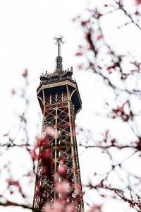 Eiffelturm in Nahaufnahme mit Blüte