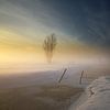 Snowy Farmland van Manuel Meewezen