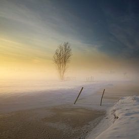 Snowy Farmland van Manuel Meewezen