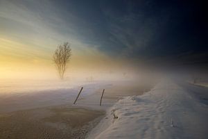 Snowy Farmland van Manuel Meewezen