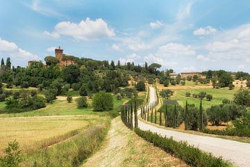 De glooiende heuvels van Toscane! van Truus Nijland