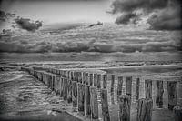 zoutelande in black and white
