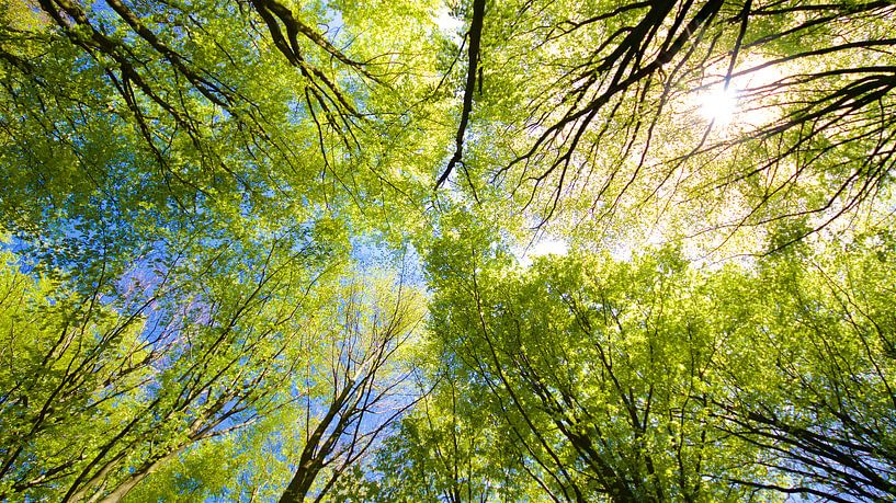 Eindelijk van Eric de Haan
