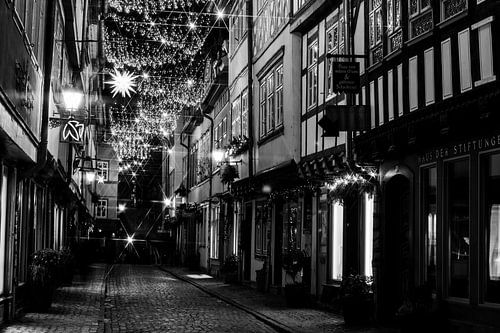 Erfurt Krämerbrücke met kerst zwart-wit