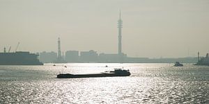 Barge auf der Nieuwe Maas