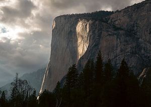 El Capitan während der Golden Hour (Yosemite) von Atomic Photos