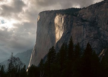 El Capitan tijdens Golden Hour (Yosemite) van Atomic Photos