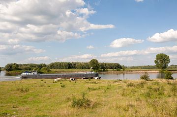 Maas Den Bosch van Richard Wareham
