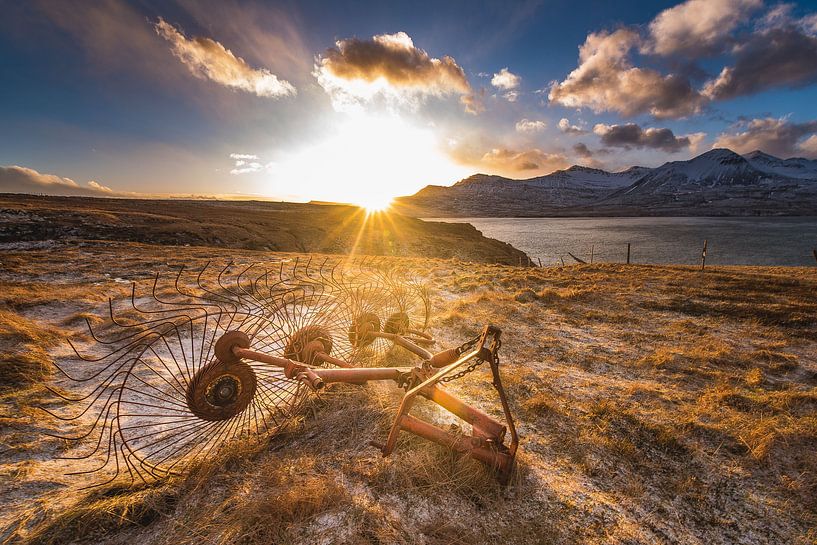 Hay rake  van Andreas Jansen