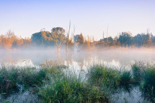 Mistig ochtendlicht boven de Broekpolder. Rustgevend veenlandschap aan de muur