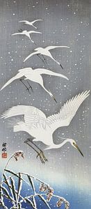 Reiher im Schnee sitzen, Ohara Koson