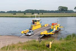 Bernse Veer Bern - Herpt by Richard Wareham