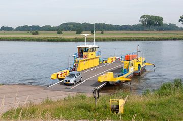 Bernse Veer Bern - Herpt