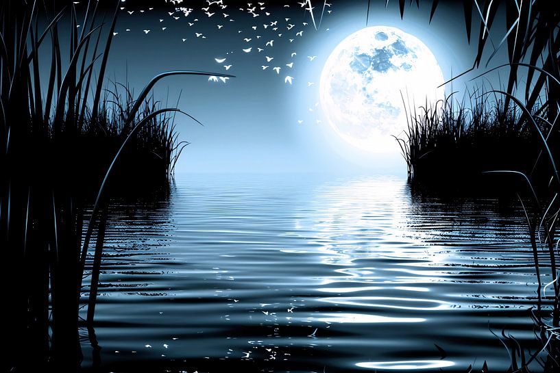 La pleine lune se reflète dans l'eau par Art & Soul Creations