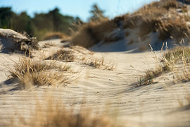 Morgenstille in den Dünen von Vague & Form