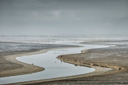 Waddenzee bij de Zwarte Haan van Smeenk Fotografie