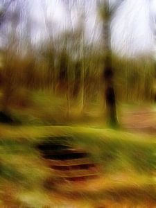 Stufen im Wald