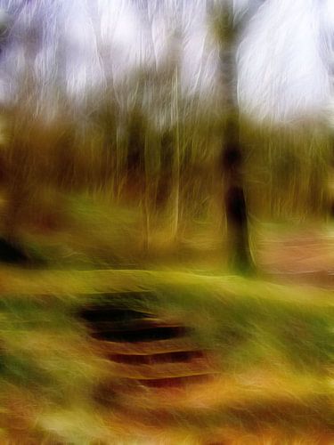 Des pas dans la forêt