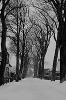 Snow