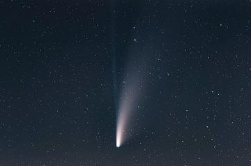 La comète Neowise dans le ciel