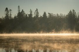 Mist on the lake by Durk-jan Veenstra