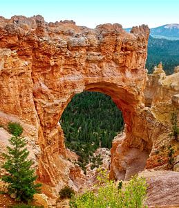 Natural Bridge Bryce Canyon Amerika