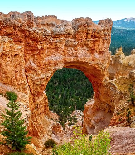 Natural Bridge Bryce Canyon America