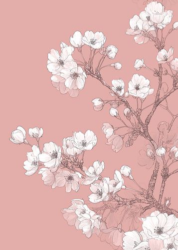 Teder illustratie van kersenbloesems