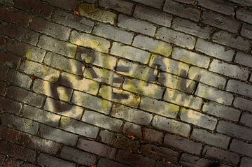 Dream van JRobert Photography