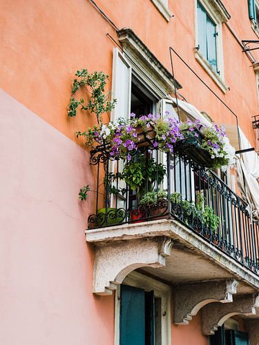 Rosa Haus mit Blumen auf dem Balkon in Verona