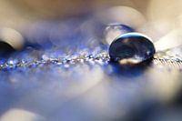 Blue Drop