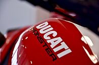 Ducati Monster van Jan Radstake thumbnail