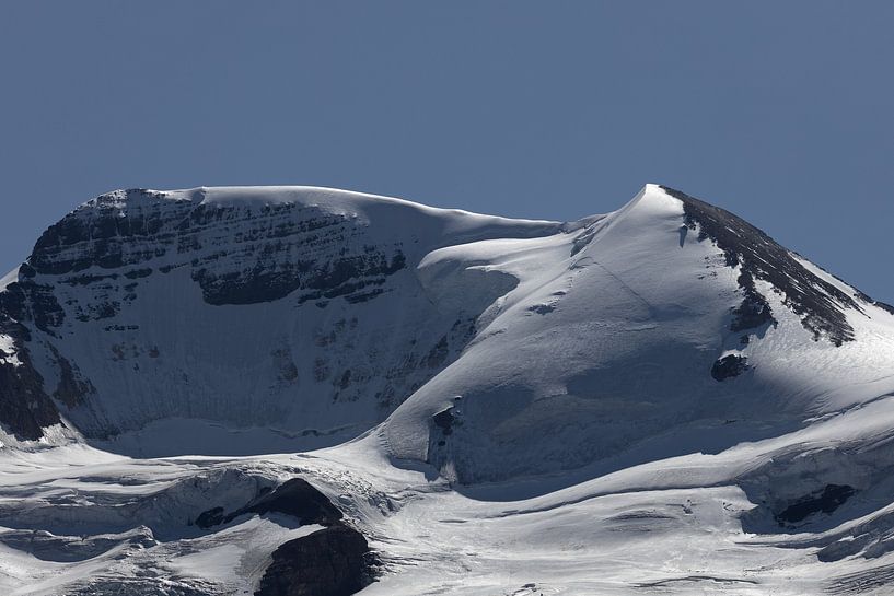 Berg Athabasca von Tobias Toennesmann
