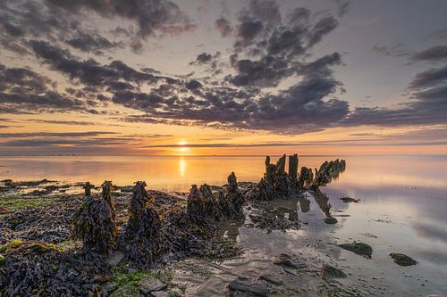 Ondergaande zon boven het Wad verlicht de wegtrekkende wolken en oude golfbreker van houten palen