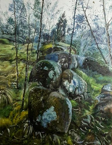 Paysage de mousses de terre et de nature