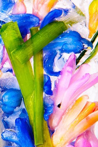 Bunte gefrorene Blumen