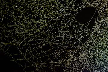 Spinnenweb kunst van Danny Slijfer Natuurfotografie