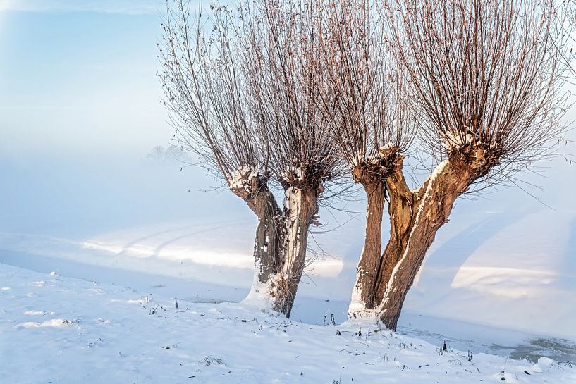 Winter in the Alblasserwaard by Ko Hoogesteger