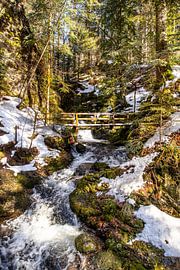 Bridge over the Rüttebächle