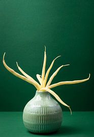 Butter beans in a vase by Lieke van Grinsven van Aarle