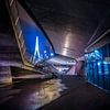 De Erasmusbrug gezien vanuit de Stad Rotterdam Nederland Holland in de avond met Stadverlichting van Bart Ros