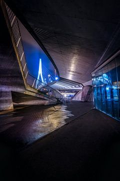 De Erasmusbrug gezien vanuit de Stad Rotterdam Nederland Holland in de avond met Stadverlichting