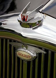 Wolseley by Herman Moor