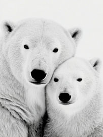 Polar Bear Mother and Cub – Black and White Arctic Art